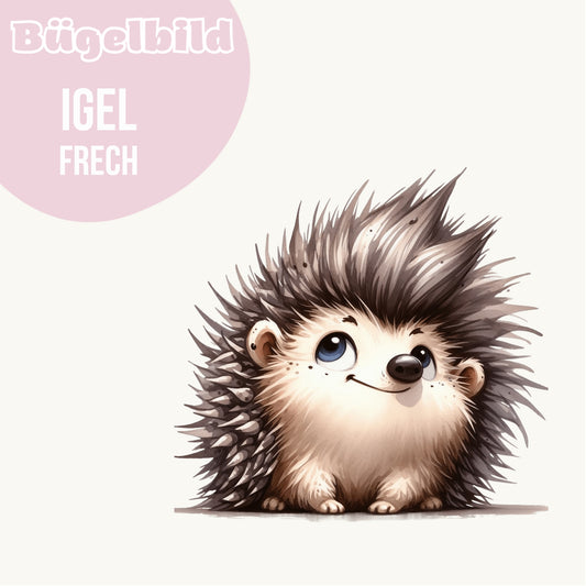 Bügelbild Igel frech