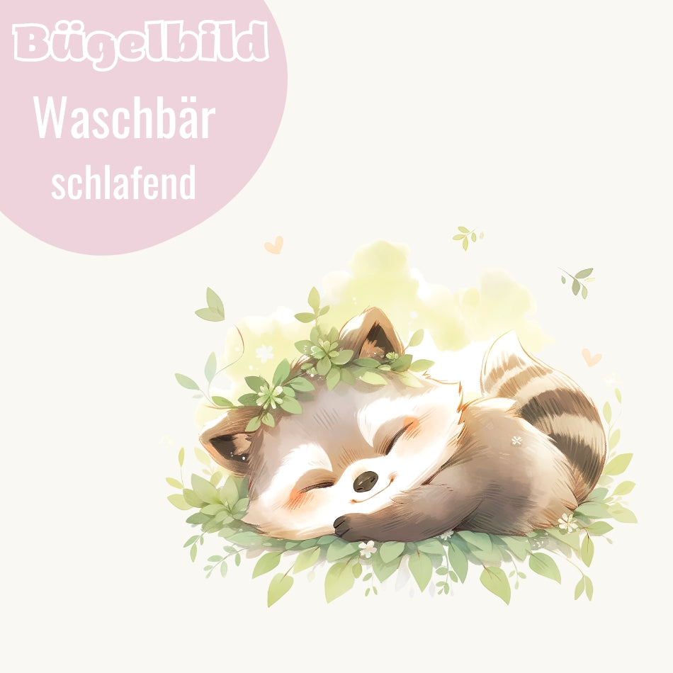 Bügelbild Waschbär schlafend