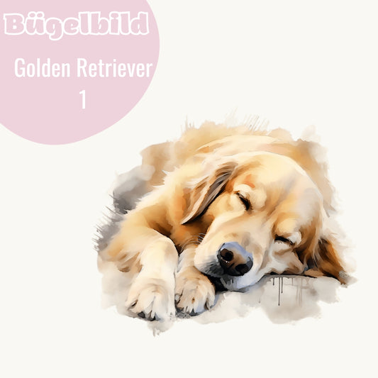 Bügelbild Golden Retriever 1